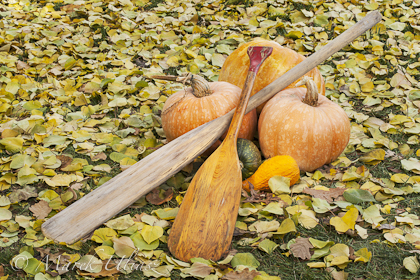 old paddles and pumpkin
