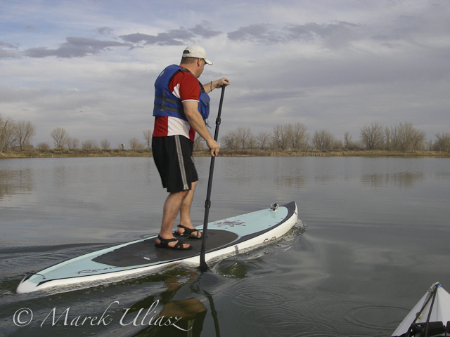 stand up paddling