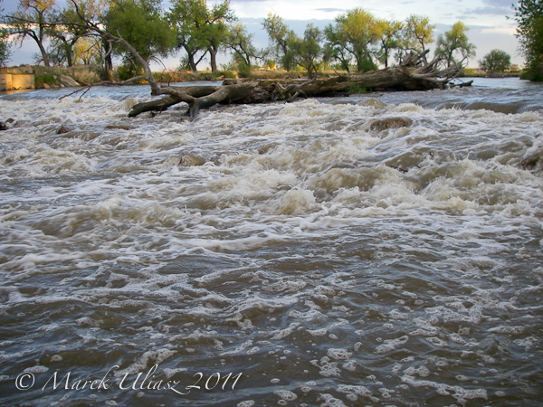 Plumb Ditch diversion dam on South Platte River