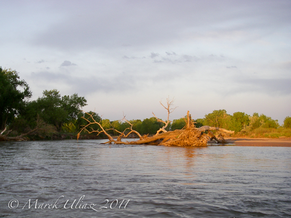 Wildcat Run on South Platte River